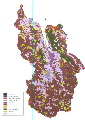 Mapa de vegetación de Urdaibai